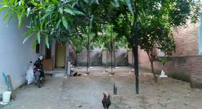 rumah kampung halaman luas