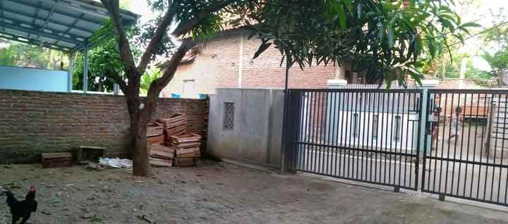 rumah kampung halaman luas