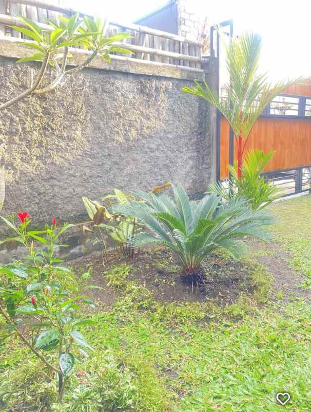 rumah semi villa view sawah di tebongkang ubud bali