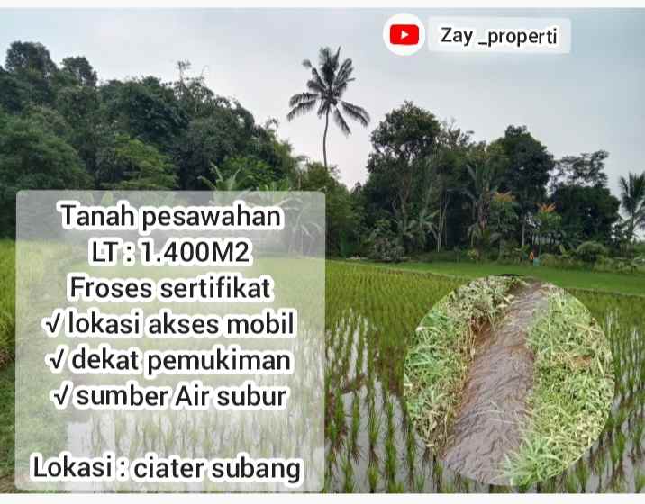 sawah produktif daerah ciater subang jawa barat