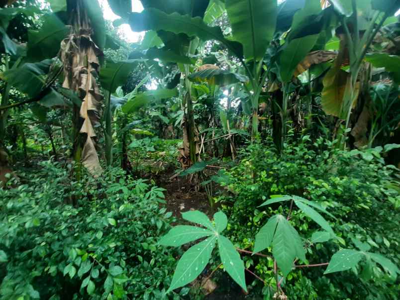 tanah 1000 m2 akses mobil strategis dekat st pd ranji