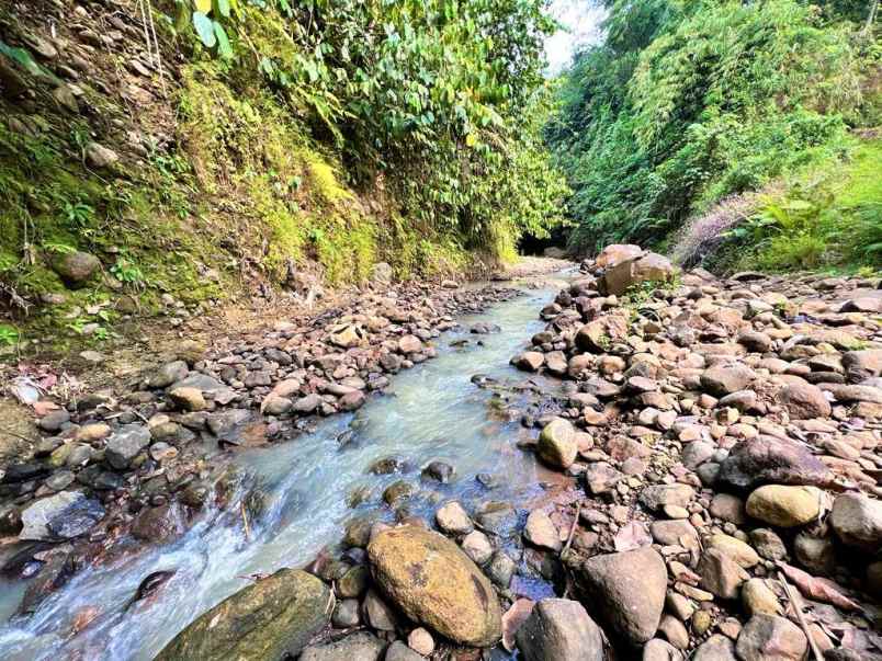 tanah 2000m dekat sungai karanganyar