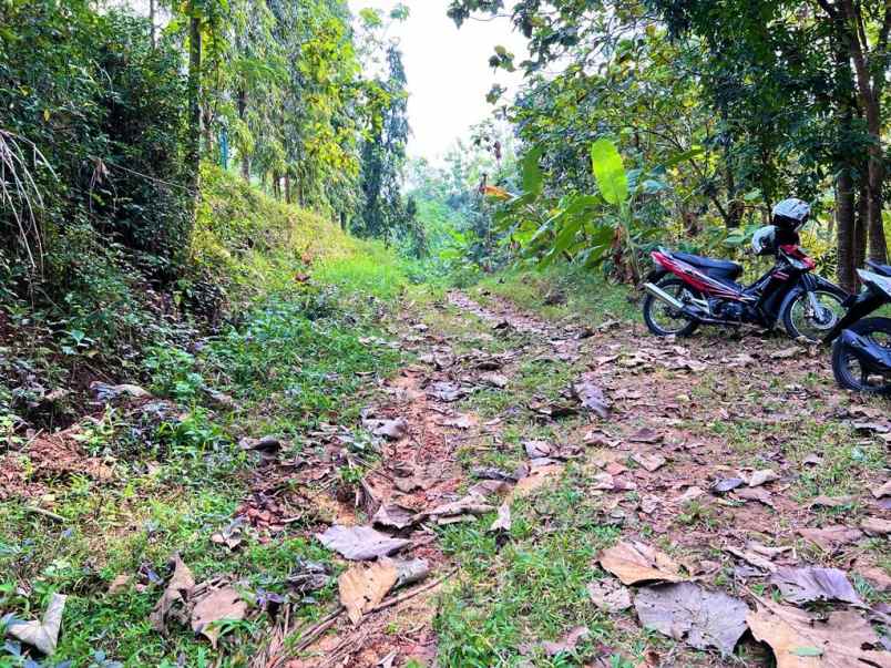 tanah 2000m dekat sungai karanganyar