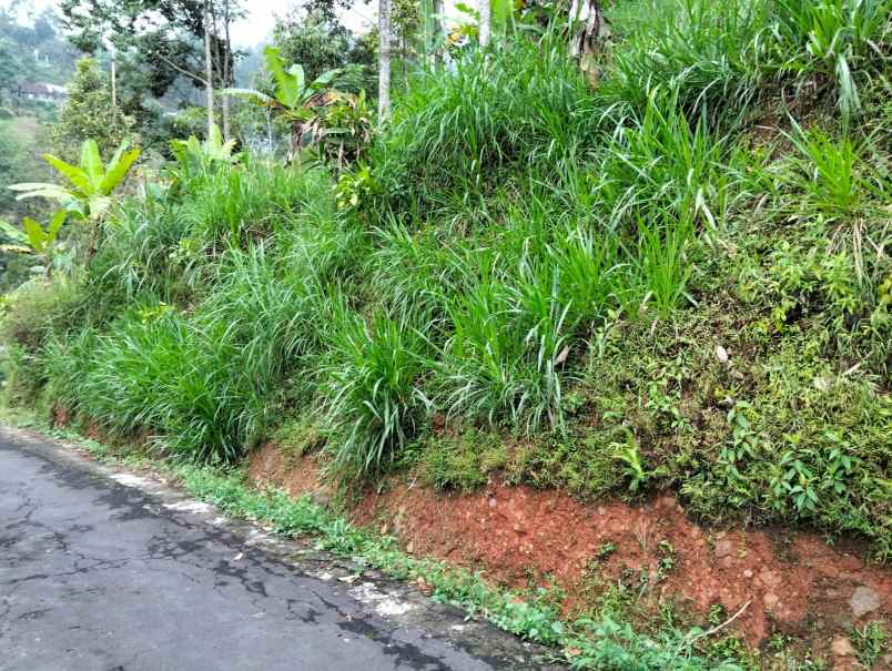 tanah 90 juta udara dingin ngargoyoso
