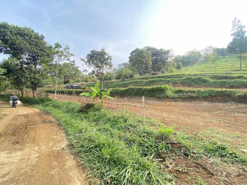 tanah best view cijeruk tanah murah cijeruk bogor