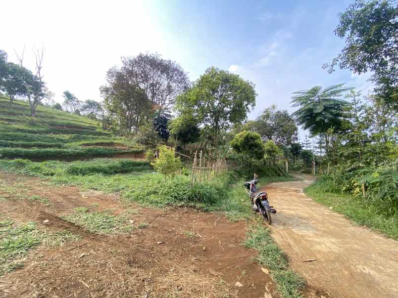 tanah best view cijeruk tanah murah cijeruk bogor