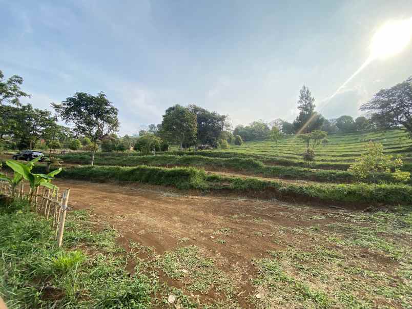 tanah best view cijeruk tanah murah cijeruk bogor