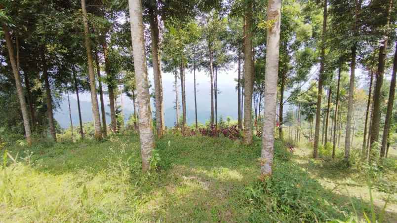 tanah best view di mega mendung bogor