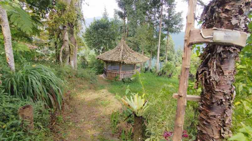 tanah best view di mega mendung bogor