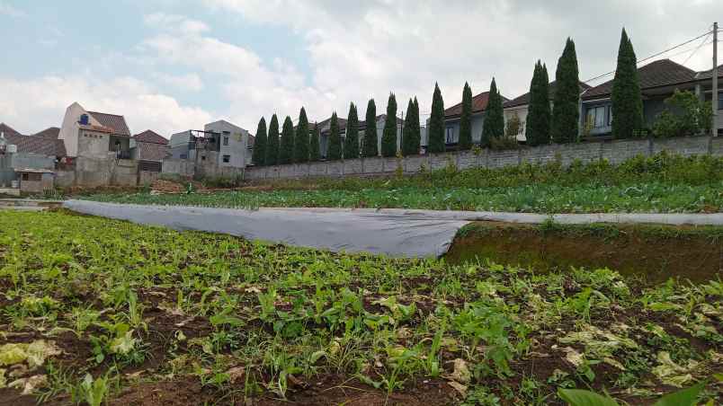 tanah cocok villa atau cluster ada view bandung utara