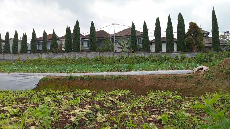 tanah cocok villa atau cluster ada view bandung utara