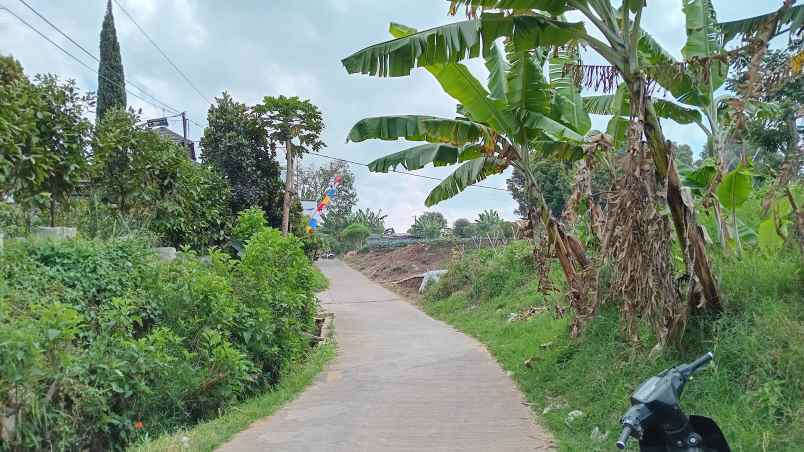 tanah cocok villa atau cluster ada view bandung utara