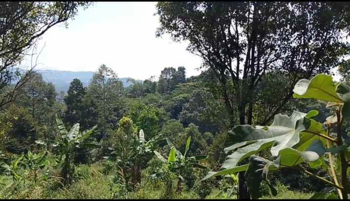 tanah daerah jalan cagak subang