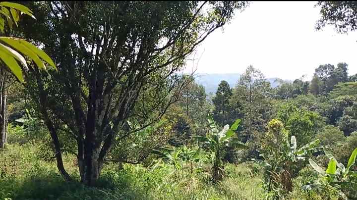 tanah daerah jalan cagak subang