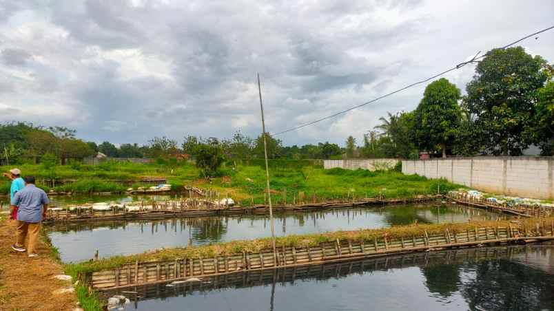 tanah di cogreg cocok untuk usaha atau perumahan