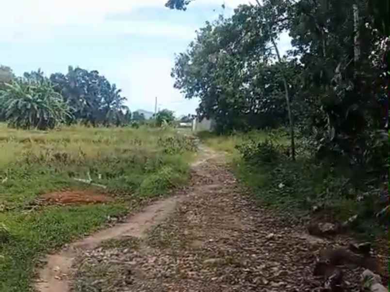 tanah di jati agung dekat itera 12 100m shm