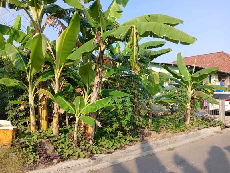 tanah dolog dekat syuhada raya tlogosari