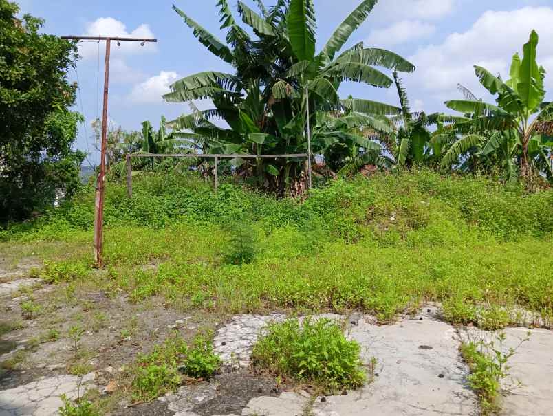 tanah hook dua muka sinar waluyo semarang