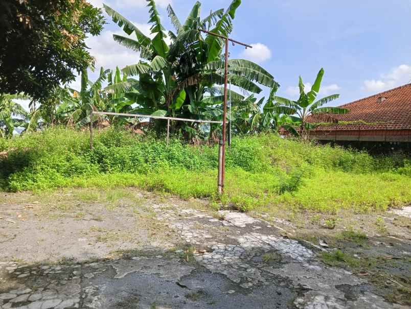 tanah hook dua muka sinar waluyo semarang