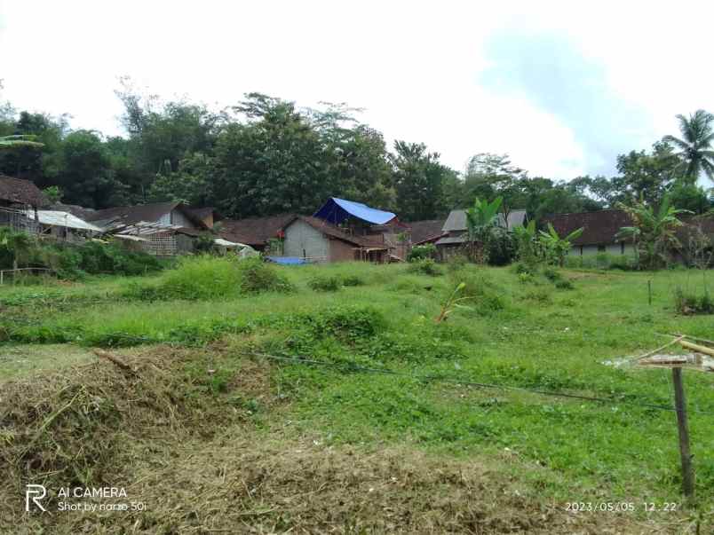 tanah kavling luas harga murah di salaman magelang