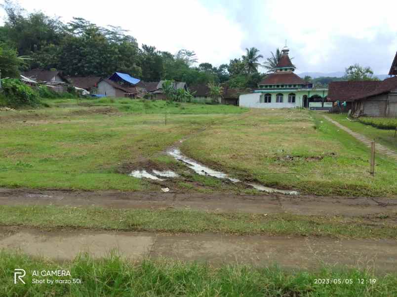 tanah kavling luas harga murah di salaman magelang