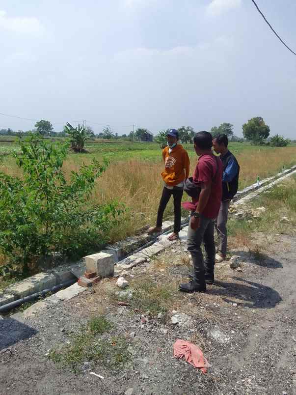 tanah kavling murah nol dp traseng kedamean gresik