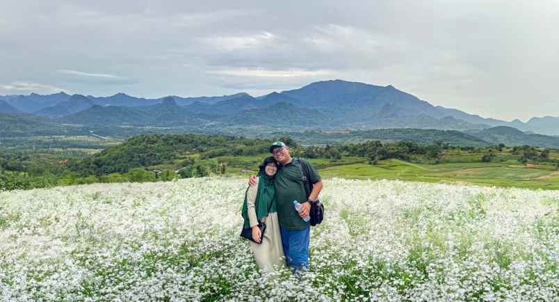 tanah kavling villa kayu blossoms field puncak cipanas