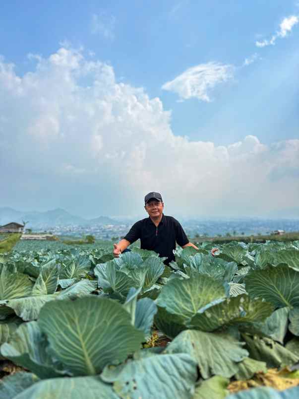 tanah kavling villa kayu blossoms field puncak cipanas