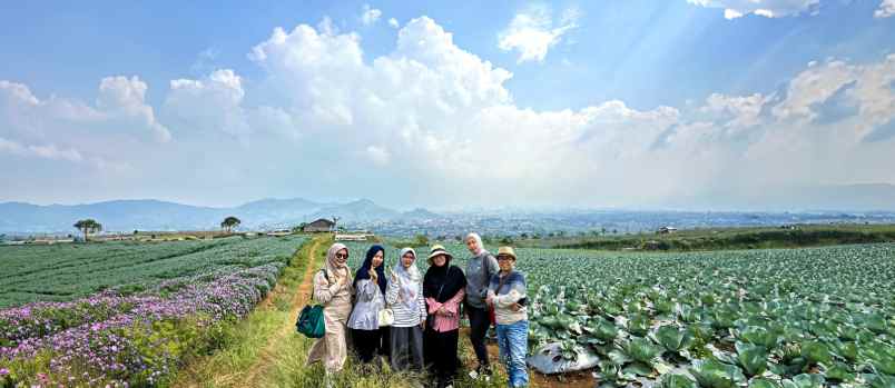 tanah kavling villa kayu blossoms field puncak cipanas