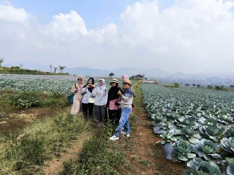 tanah kavling villa kayu blossoms field puncak cipanas