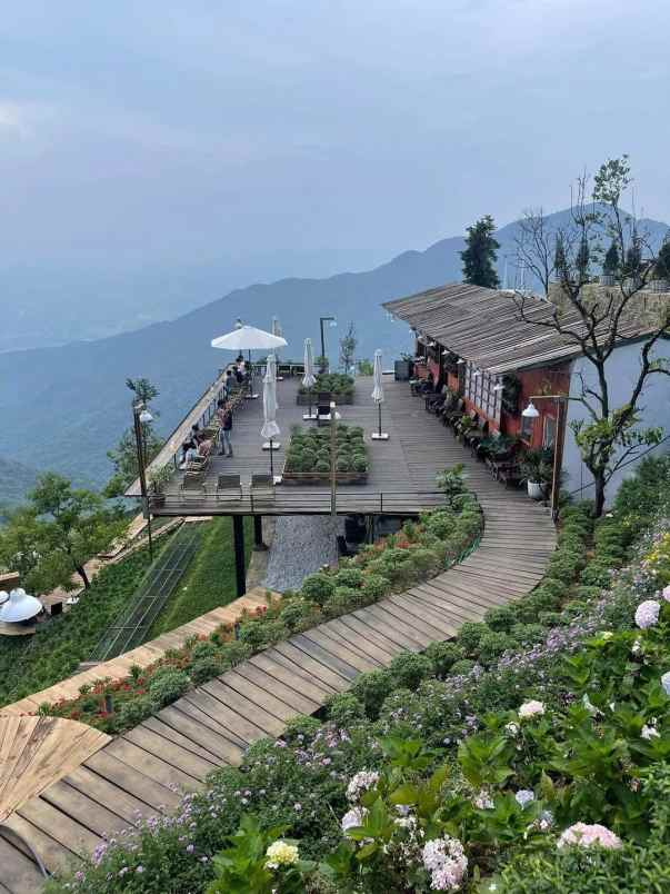 tanah kavling villa kayu blossoms field puncak cipanas