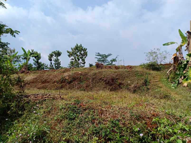 tanah kerjo karanganyar