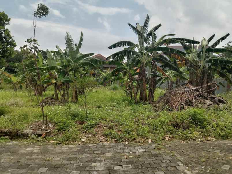 tanah luas 200 meter di undip tembalang bulusan