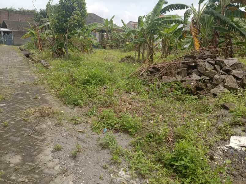 tanah luas 200 meter di undip tembalang bulusan