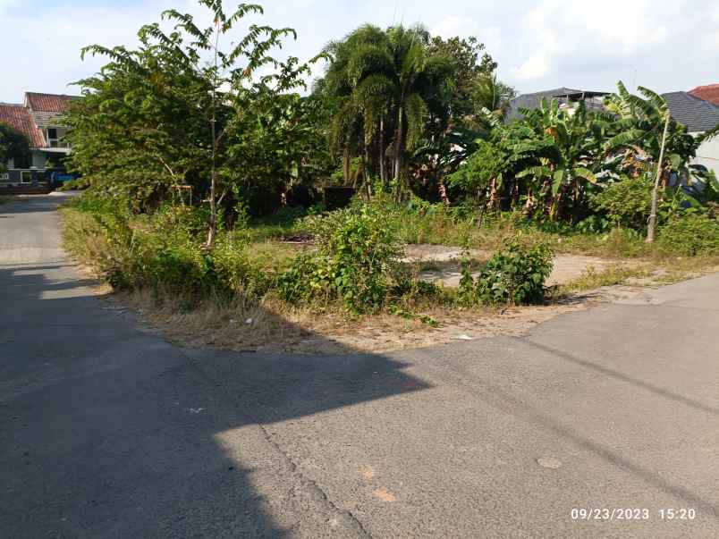 tanah luas 300m di kedamaian bandar lampung