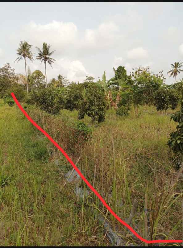 tanah luas lokasi bagus tirtoadi mlati