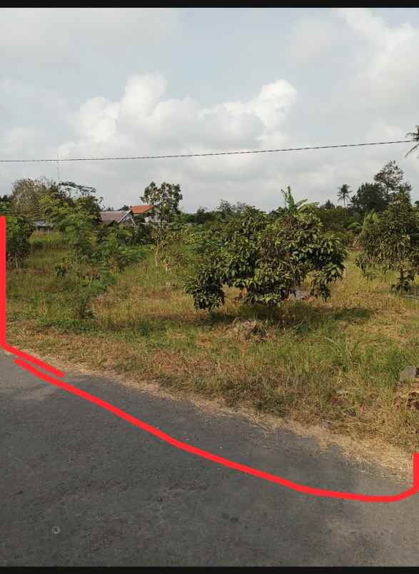 tanah luas lokasi bagus tirtoadi mlati