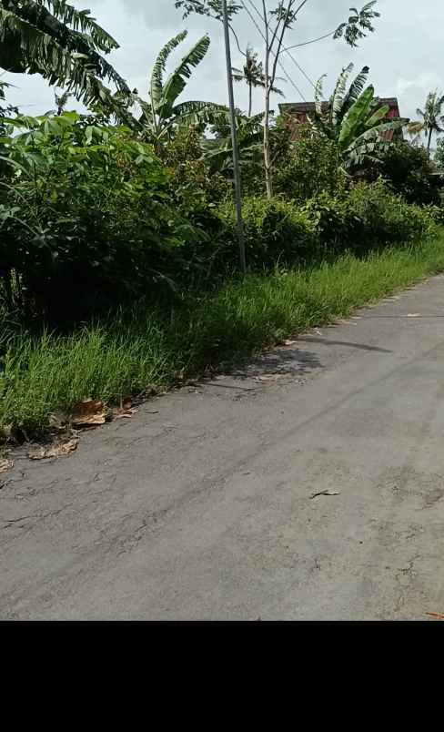 tanah luas lokasi bagus tirtoadi mlati