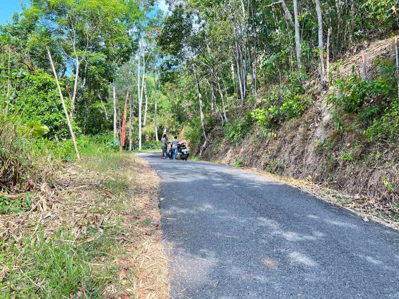 tanah murah 140 juta tepi jl mojogedang karanganyar