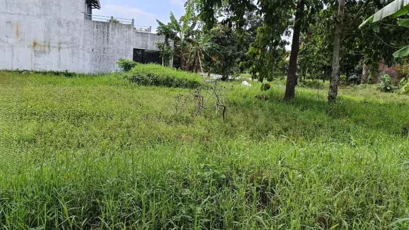 tanah murah di ciwastra buah batu bandung