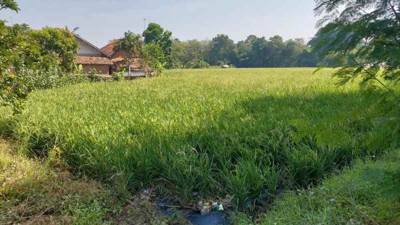 tanah murah strategis di majalengka