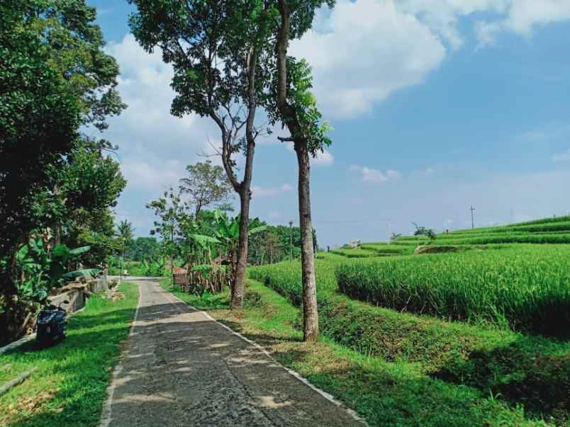 Jual Tanah Cocok Untuk Villa View Sawah Jl Kerjo Ngargoyoso Karanganya