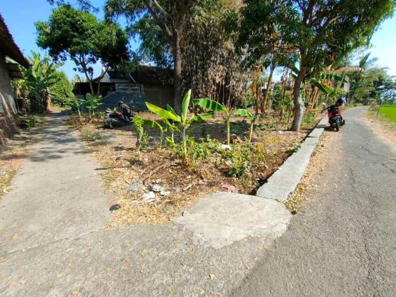 tanah pekarangan dekat ke pusat kota sukoharjo