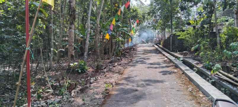 tanah pekarangan di argorejo sedayu bantul