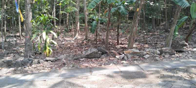 tanah pekarangan di argorejo sedayu bantul