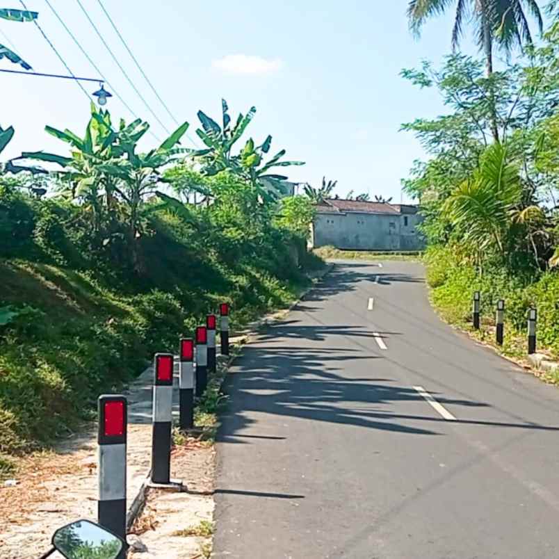 tanah sawah 350 meter persegi di mertoyudan magelang