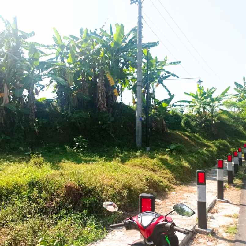 tanah sawah 350 meter persegi di mertoyudan magelang