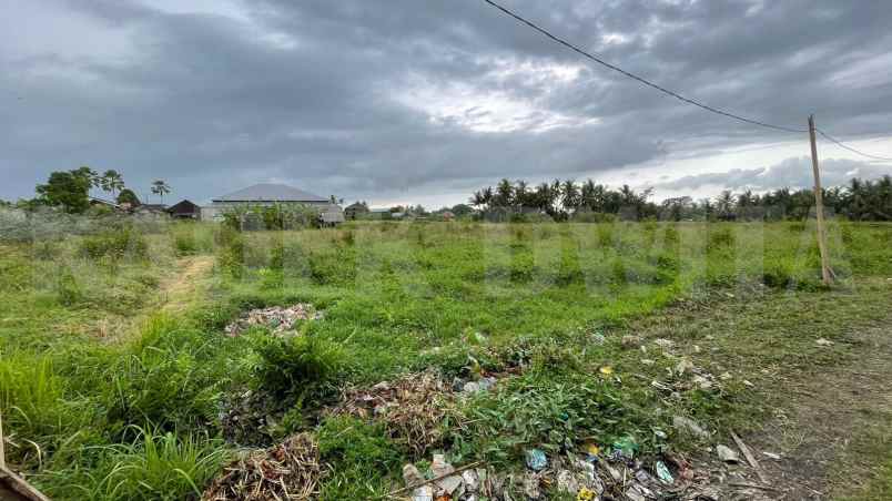 tanah tebongkang sayan ubud aspek pariwisata