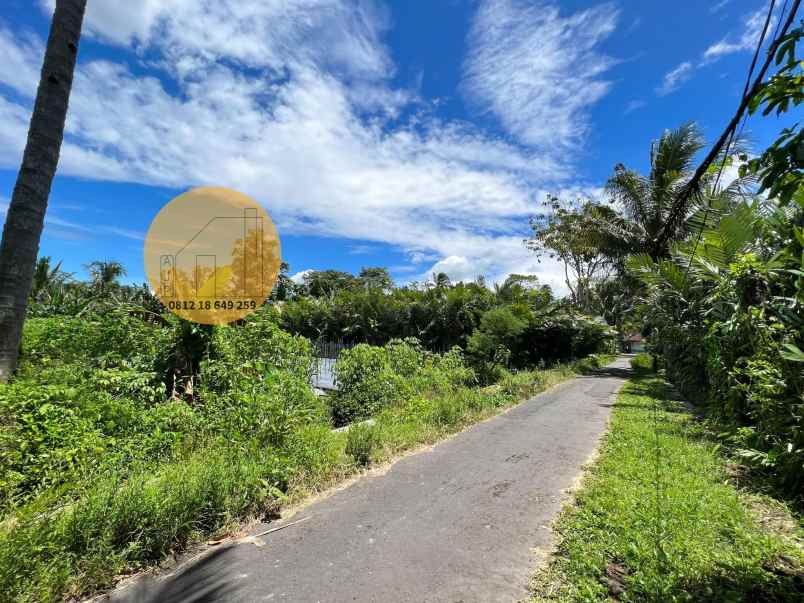 tanah view sungai turi akses jalan aspal