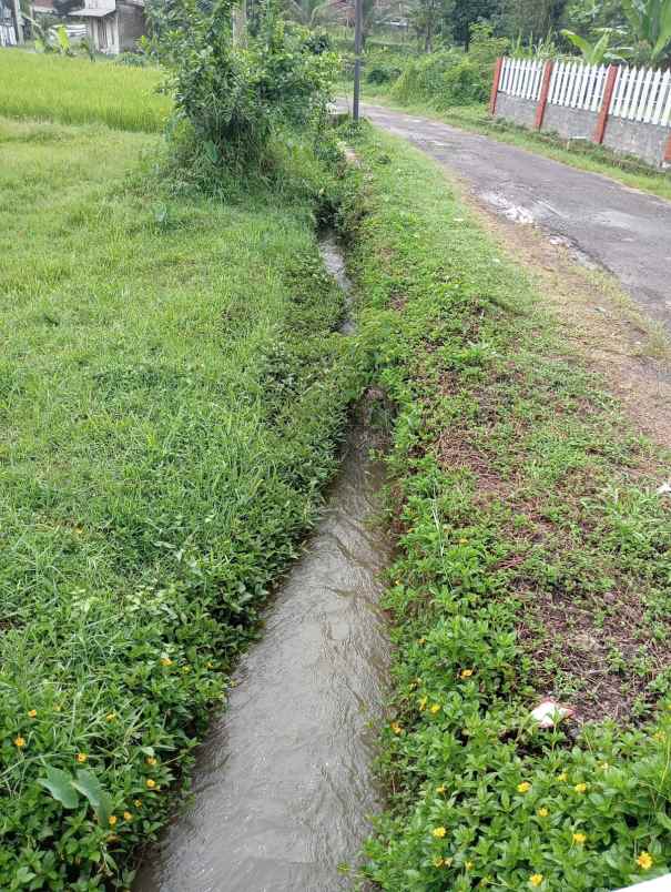 vila dan kolam ikan serang panjang subang